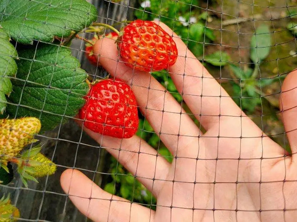 Madárvédelmi háló, tartós, sűrű, kert védelmére